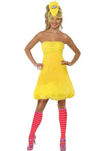 Load image into Gallery viewer, Sesame Street Women's Fancy Dress Various