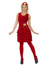 Load image into Gallery viewer, Sesame Street Women's Fancy Dress Various