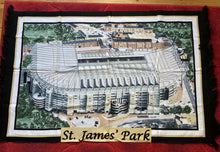 Load image into Gallery viewer, Football Stadium Wall Rug - Various