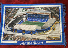 Load image into Gallery viewer, Football Stadium Wall Rug - Various
