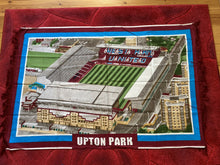 Load image into Gallery viewer, Football Stadium Wall Rug - Various