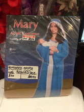Load image into Gallery viewer, Mary Adult Costume
