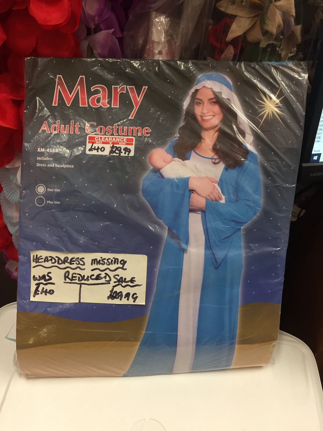 Mary Adult Costume