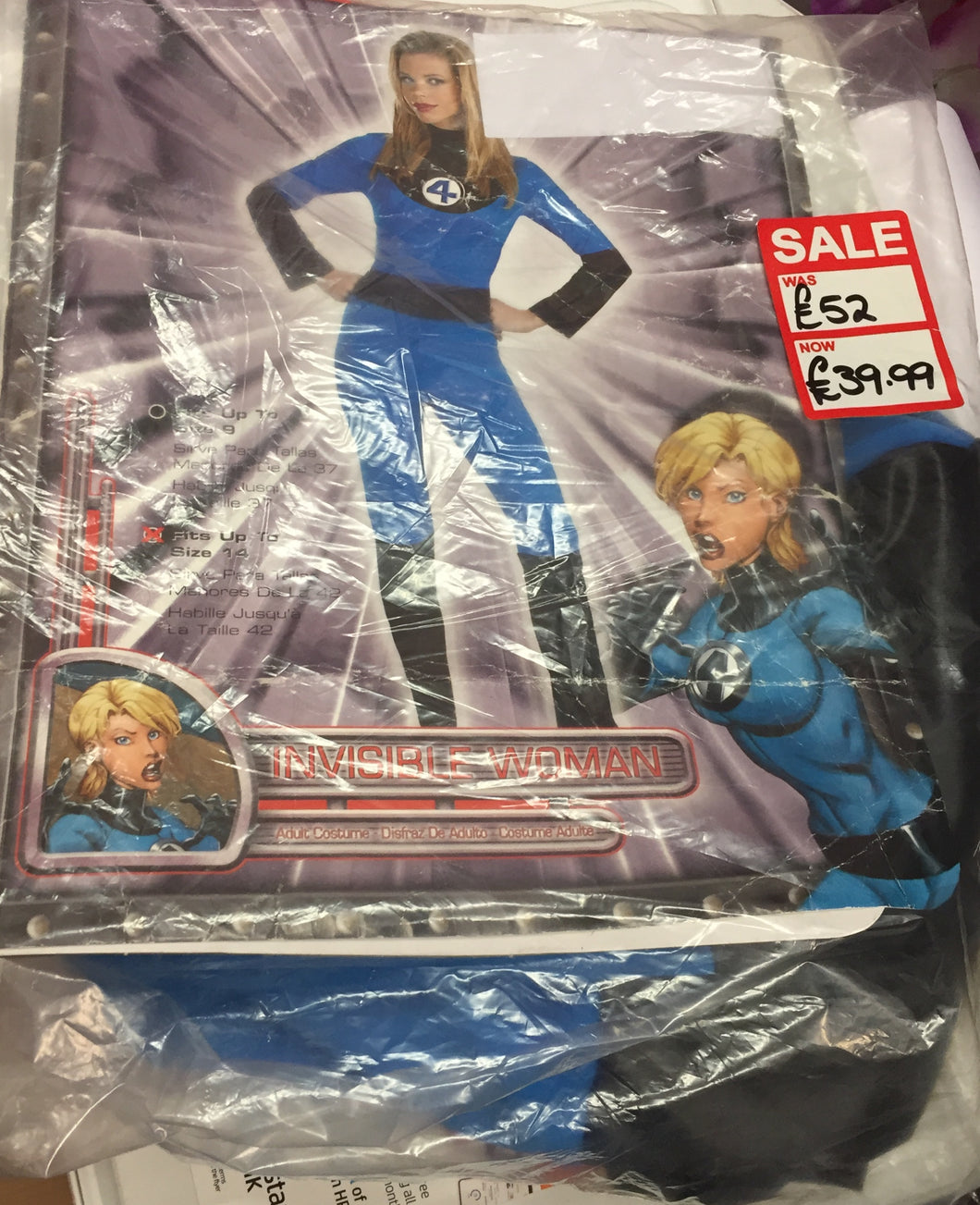 Invisible Woman Costume