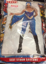 Load image into Gallery viewer, Marvel Heroes Sexy Storm Costume

