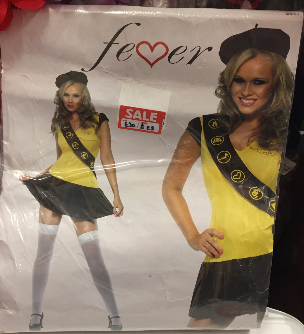 Good girl guide costume
