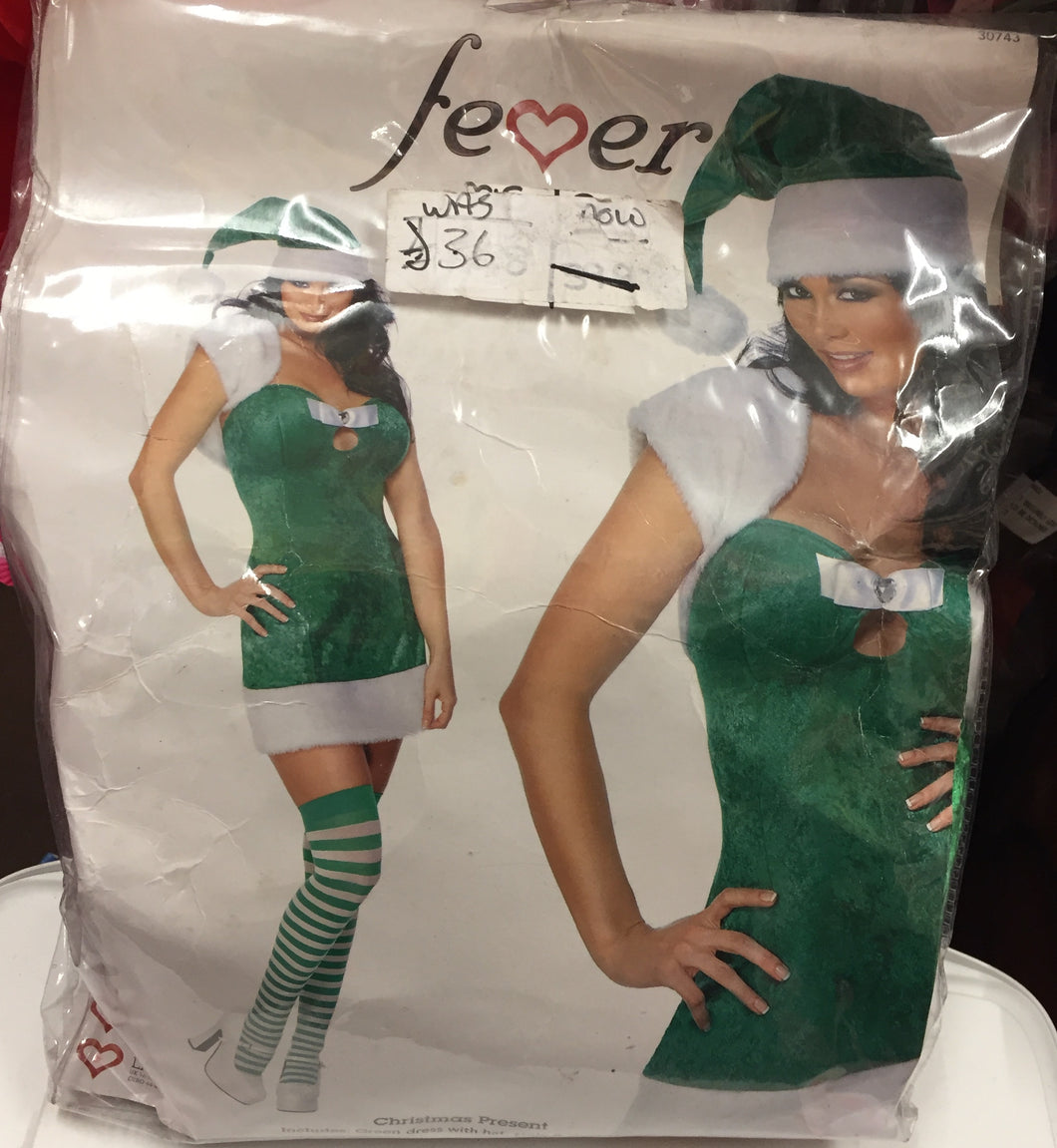 Ladies Christmas present costume Jennys Den