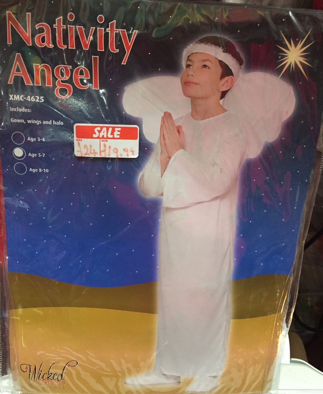 Nativity Angel Costume