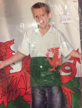 Load image into Gallery viewer, Welsh Flag Shirts
