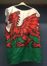 Load image into Gallery viewer, Handmade Adult Female Welsh Flag Dress
