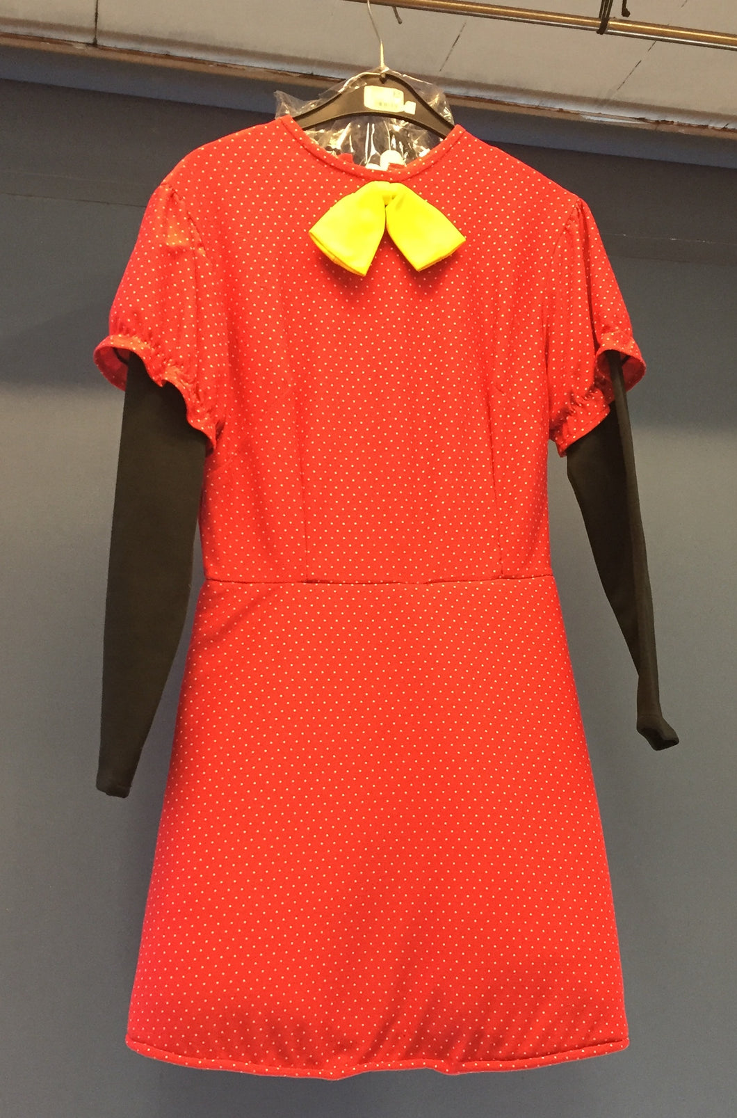Minnie Mouse Adult Costume
