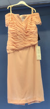 Load image into Gallery viewer, Ladies gown with Faux Fur shawl and gloves

