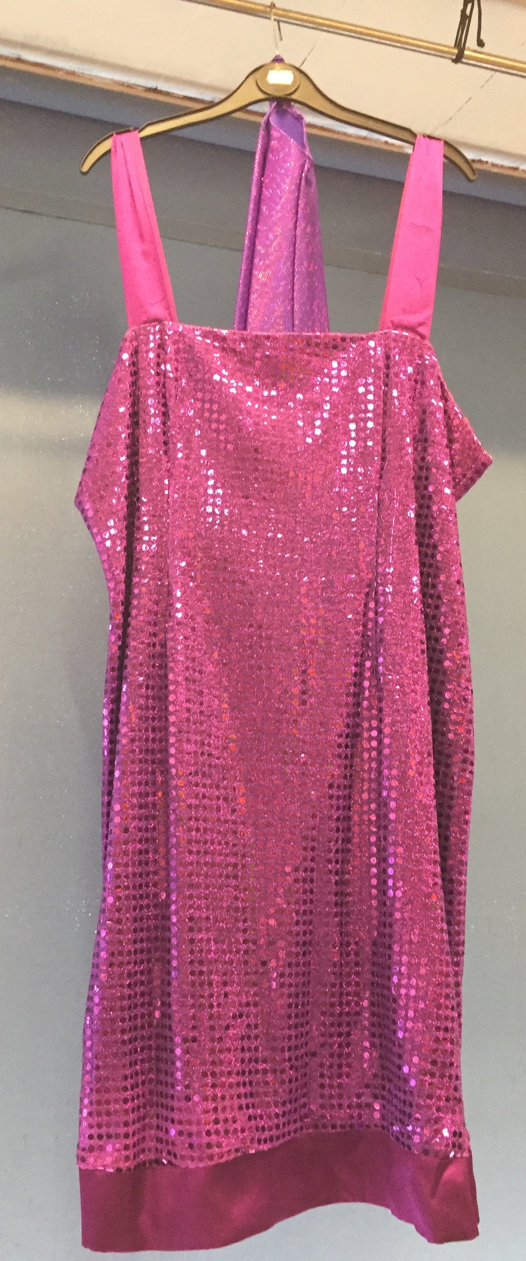 Ladies Charleston Flapper Costume