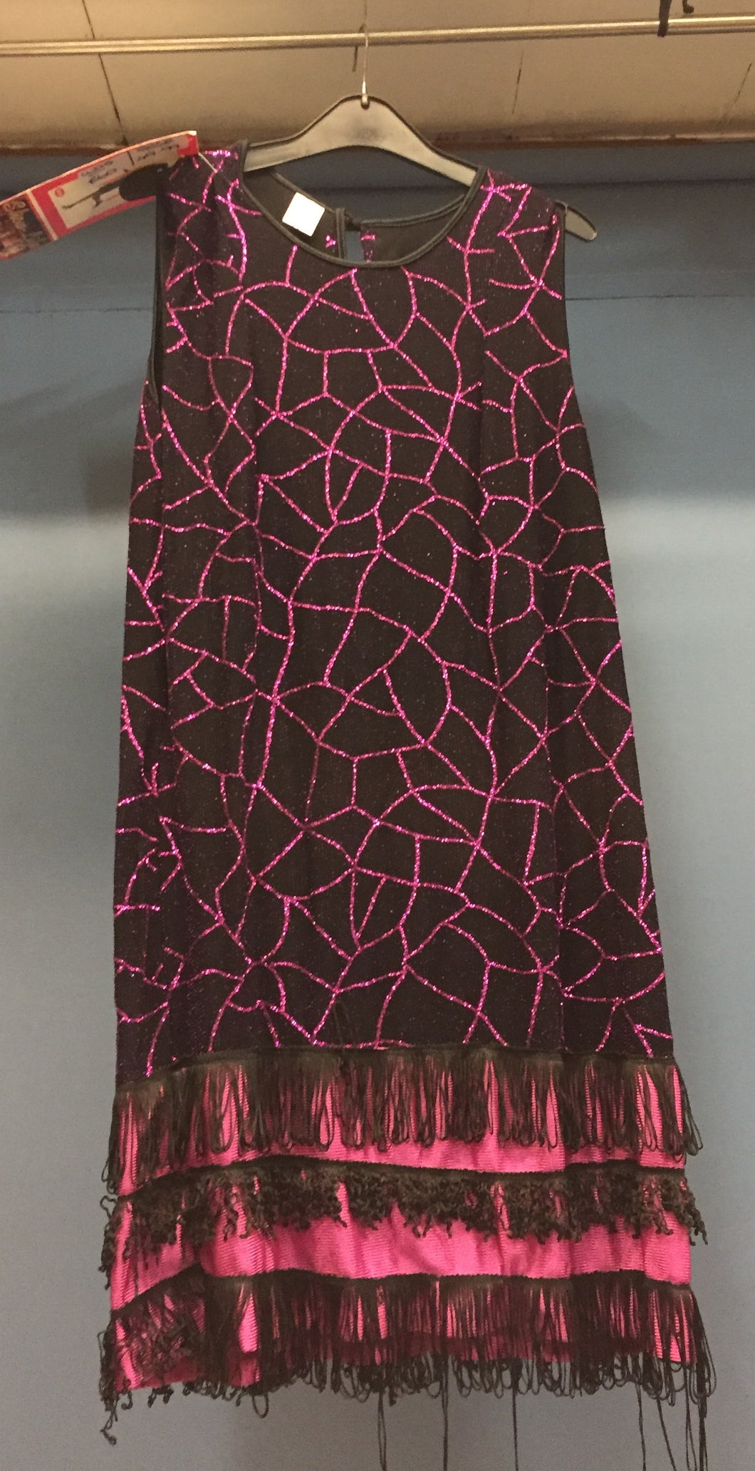 Show Life Ladies Sparkly Fringed Dress