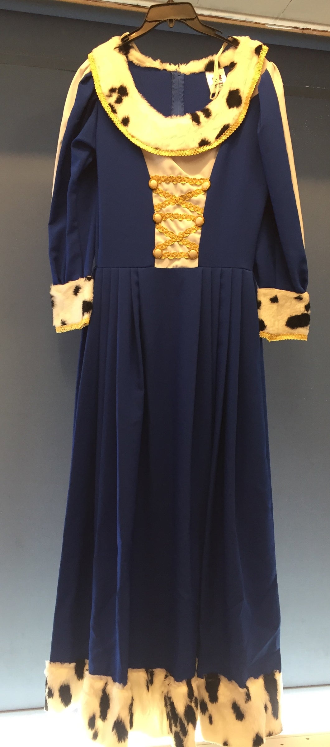 Ladies Medieval Queen costume
