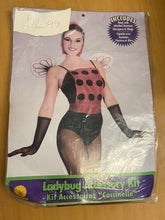 Load image into Gallery viewer, Bumble Bee Accessory Kit Women&#39;s Fancy Dress Rubies
