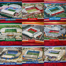 Load image into Gallery viewer, Football Stadium Wall Rug - Various
