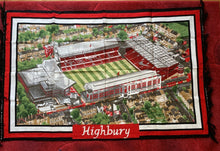 Load image into Gallery viewer, Football Stadium Wall Rug - Various
