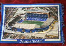 Load image into Gallery viewer, Football Stadium Wall Rug - Various
