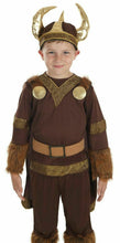 Load image into Gallery viewer, Boys Viking Warrior Costume Fun Shack
