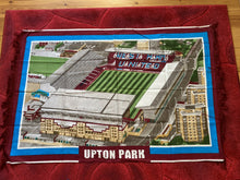 Load image into Gallery viewer, Football Stadium Wall Rug - Various
