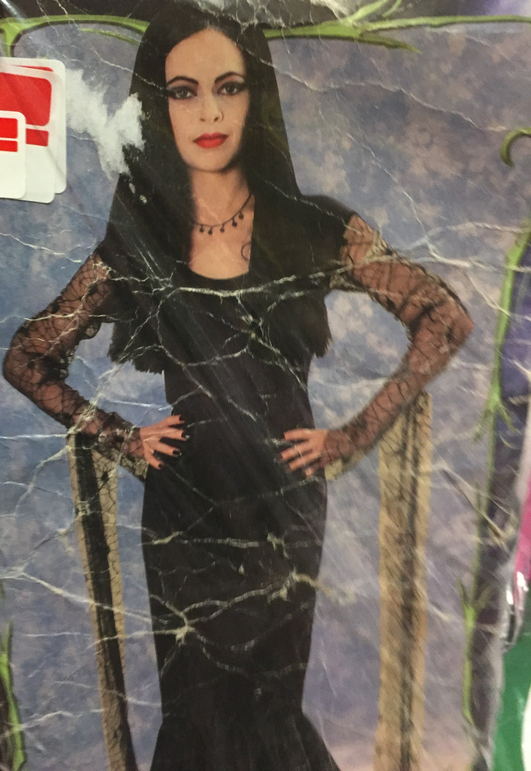 Morticia