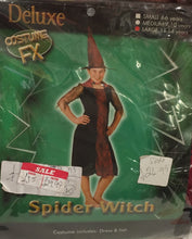 Load image into Gallery viewer, Deluxe Spider Witch Child&#39;s Costume
