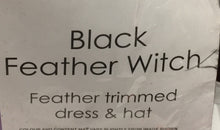 Load image into Gallery viewer, Fun Shack Adult Black Feather Witch Costume
